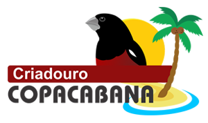 logotipo