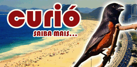 O Curió